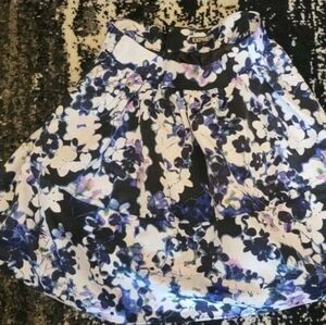 Express skirt
